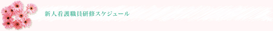 新人看護職員研修スケジュール